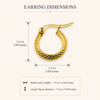Aurea Classic Hoops