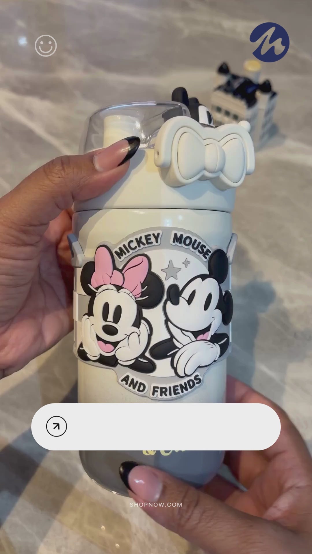 Mickey Mouse Kids Insulated Water Bottle